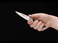 Boker Forge Office Knife, Puntilla, hoja 9 cms. - Miniatura 2
