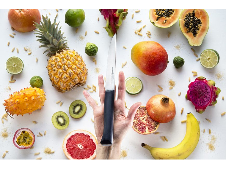 Opinel Intempora cuchillo para trozar hoja 16cm 4