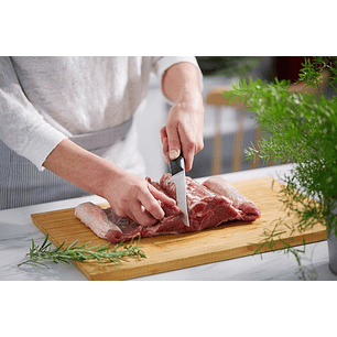 Opinel Intempora cuchillo Deshuesador hoja 13 cm