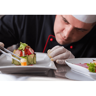 Pinza de ACERO inoxidable para emplatar, modelo Z, 20 cm 