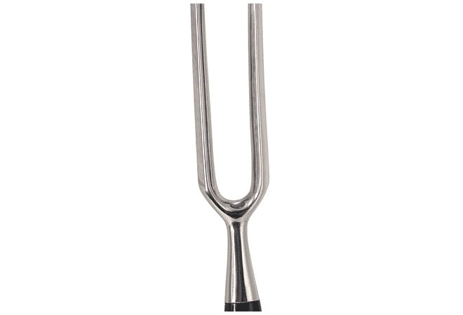 TOJIRO Tenedor para servir CARNE 200mm (F-819)