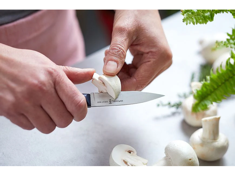 Opinel Intempora cuchillo Puntilla hoja 8 cm 3