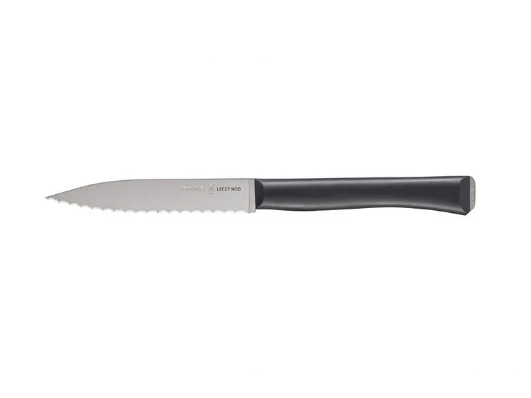 Opinel Intempora cuchillo Dentado hoja 10 cm 1