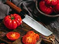 Cuchillo Nakiri. Mango madera Palo Rosa. Hoja 172 mm. - Miniatura 3