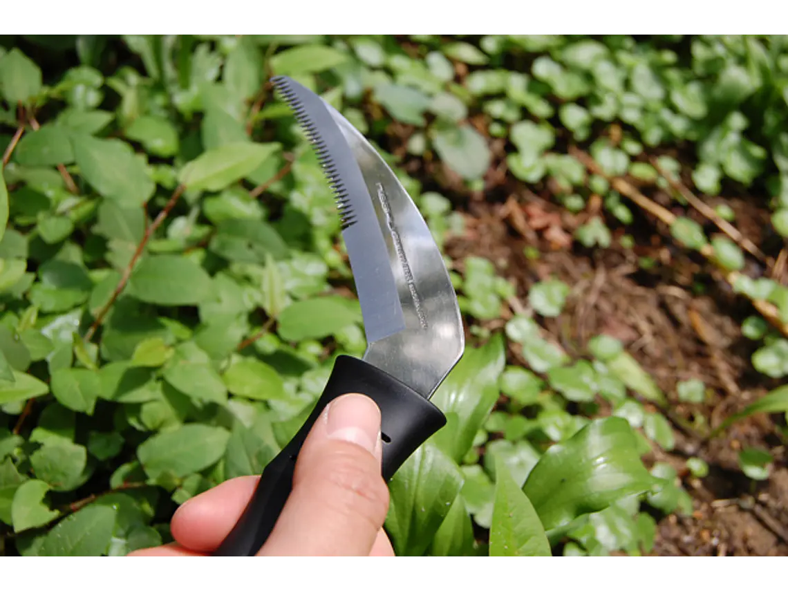 Hoz para Recolección. Filo liso y serrado. Hoja 10 cm. 3