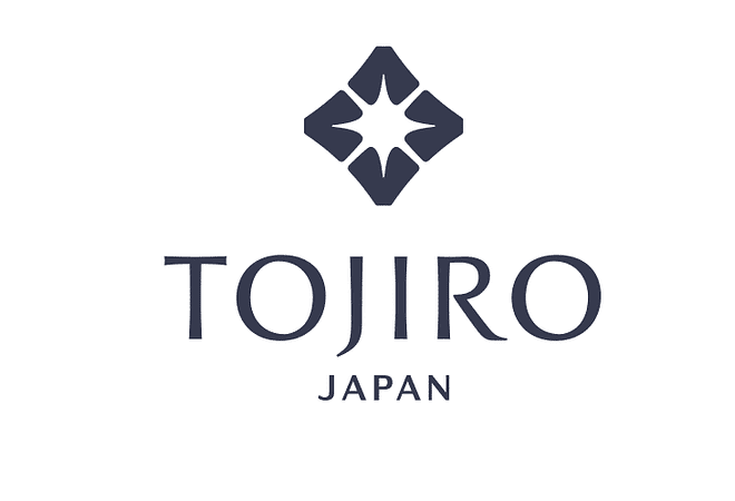 TOJIRO DP series by VG10, CHEF knife, 180mm (F-807)