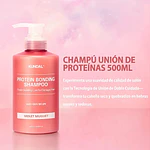 SHAMPOO PROTEIN BONDING 500ml.