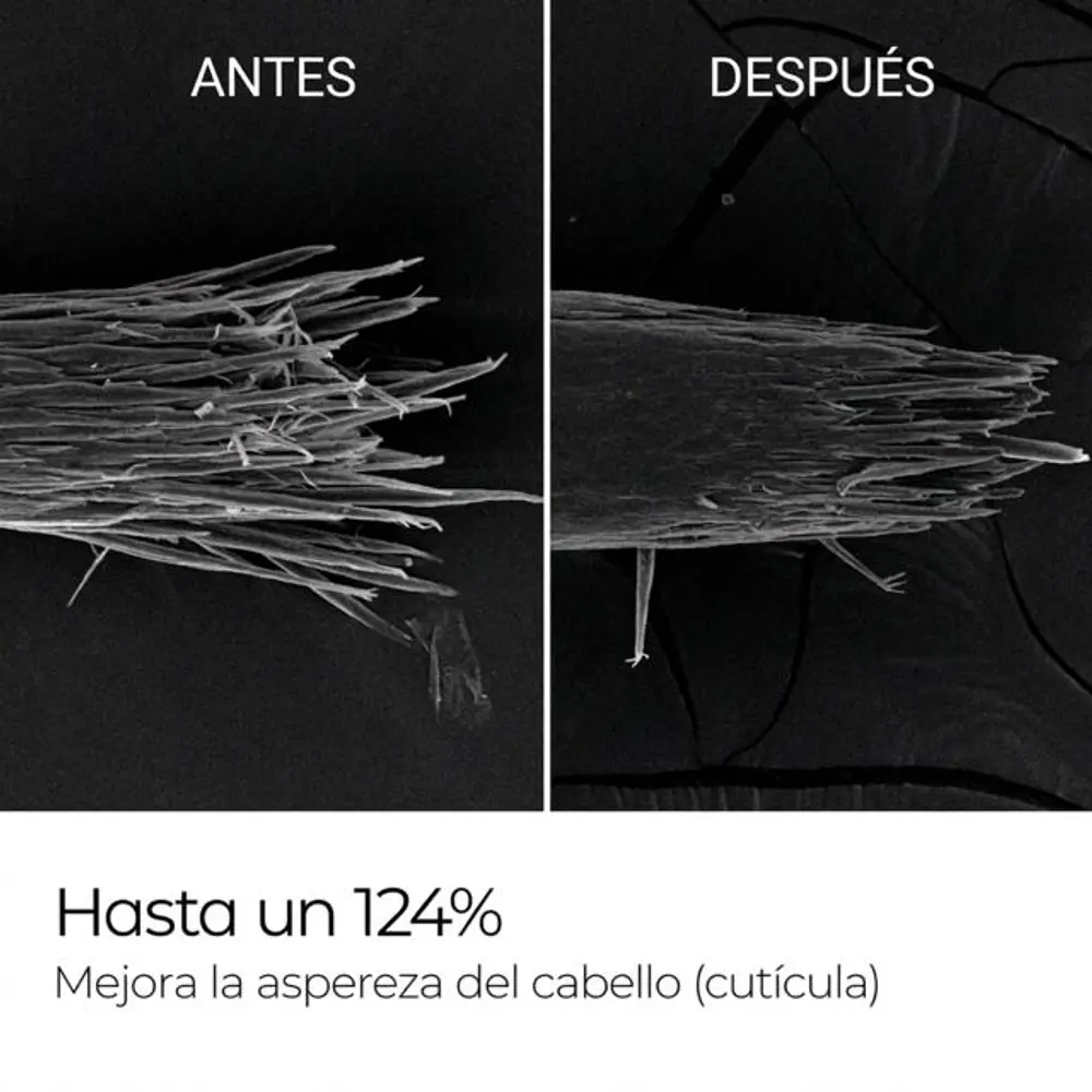 BONDEX PROTEIN REMODELING TRATAMIENTO