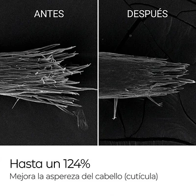 BONDEX PROTEIN REMODELING TRATAMIENTO