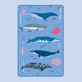 Toalla de microfibra viajera • ballenas