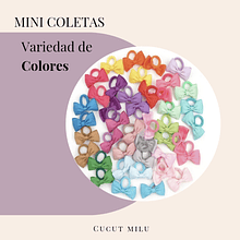 2 Mini Coletas con rosita, variedad de colores