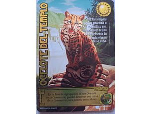 Ocelote del templo (LPE4 - MR)