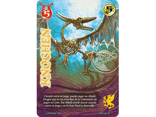 Knochen (Kit Racial Dragon 2025)