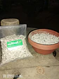 Piedra Pómez 5 Litros — Sustrato Volcánico Drenante - Miniatura 2