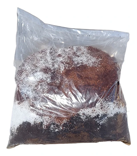 Sustrato Completo 50 L — Turba, Humus, Fibra de Coco y Perlita