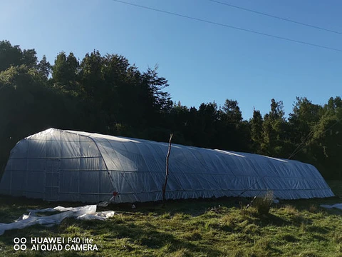 Invernadero Túnel 100 m² — Estructura Curva Galvanizada