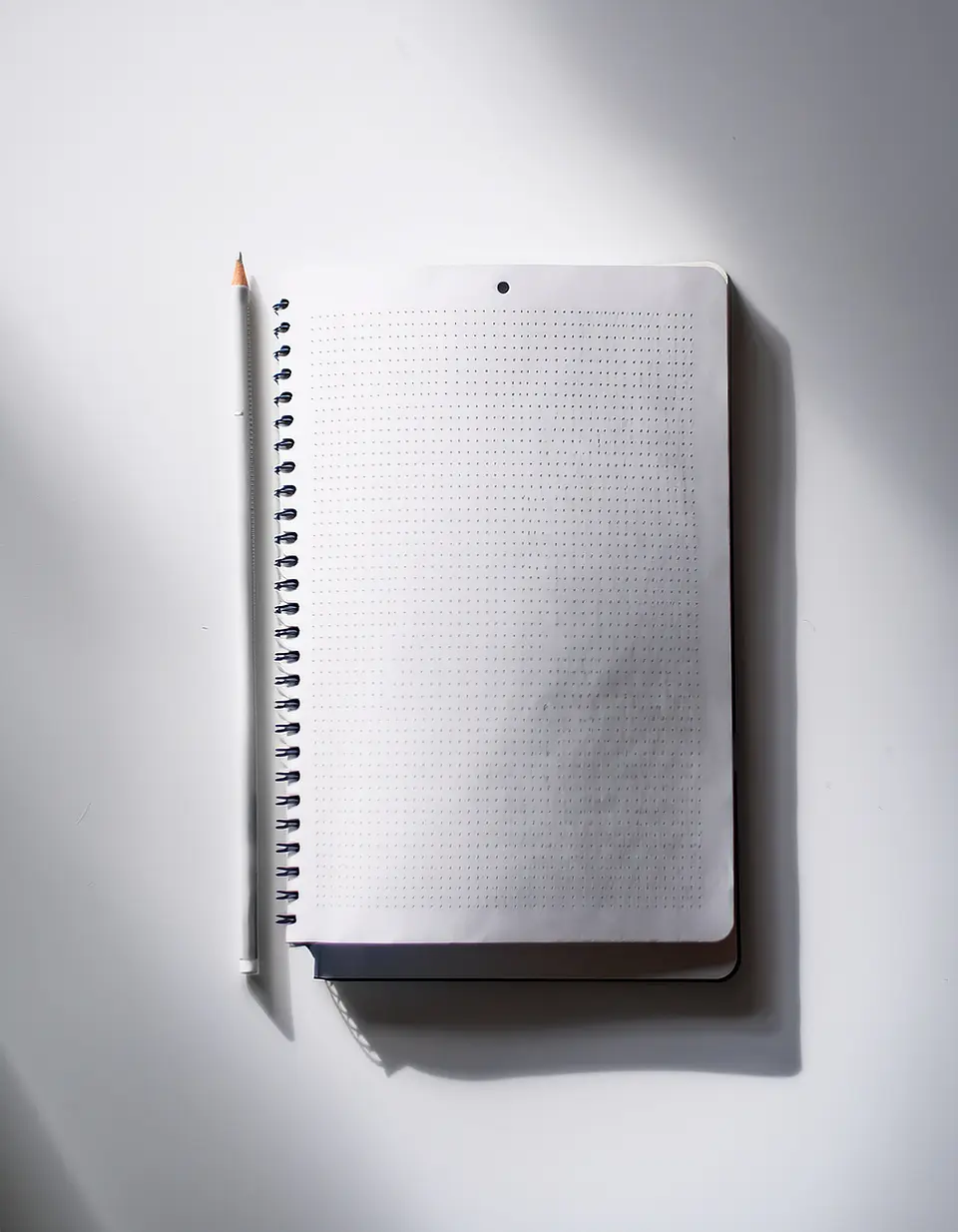 Pontos do Caderno de Anotações 1