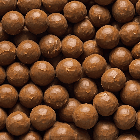 Hazelnut Filled Chocolates