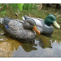 Pato Señuelo Adorno Jardín Estanque Agua Piscina Pileta