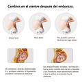 Faja Embarazada Tri Banda Cuida La Columna Vertebral