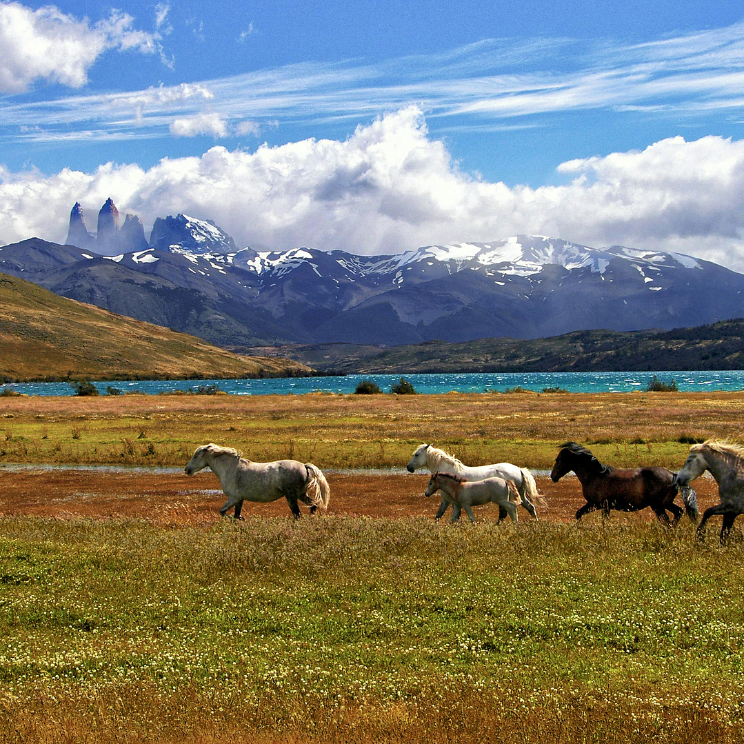 Ruta Torres del Paine 1