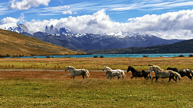 Ruta Torres del Paine