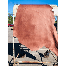 Caballo Salvaje Café Moro