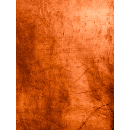 Caballo Salvaje Café Claro