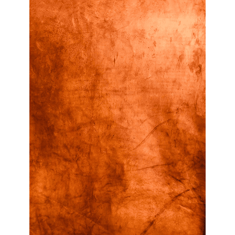 Caballo Salvaje Café Claro