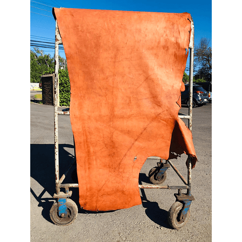 Caballo Salvaje Café Claro