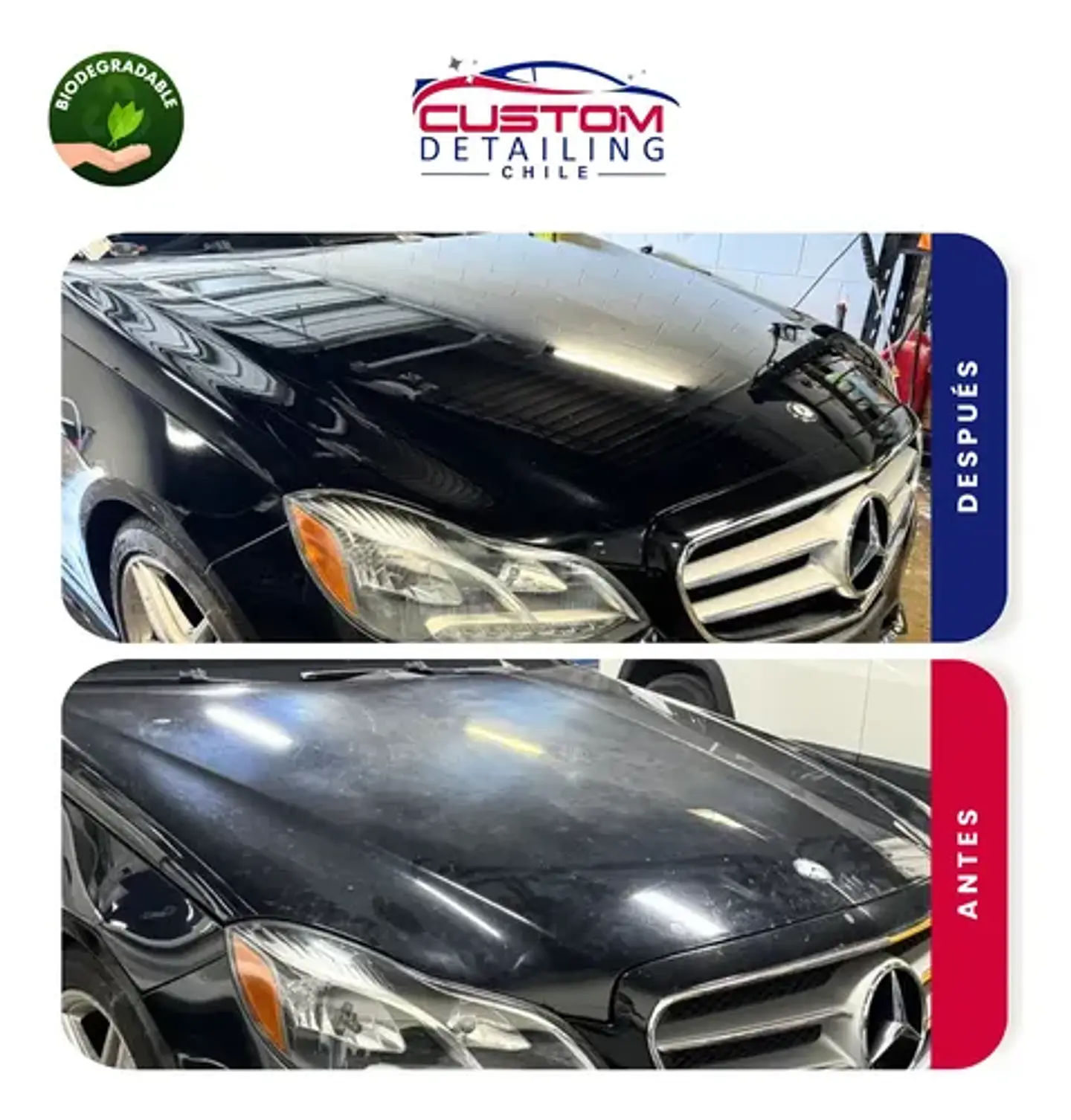 Shampoo De Lavado Para Autos Pro De 5 Litros - Espuma Activa 2