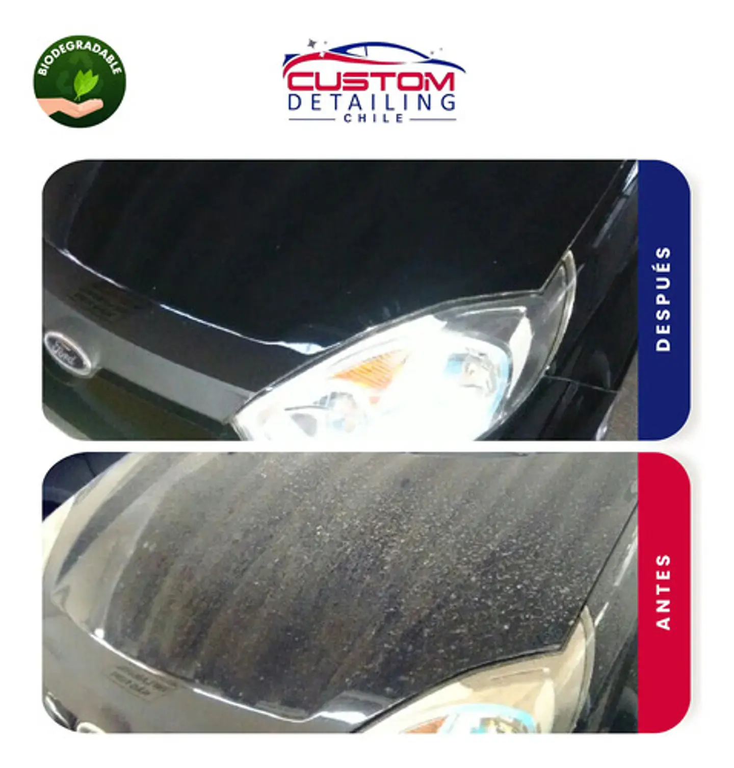 Shampoo De Lavado Para Autos Pro De 5 Litros - Espuma Activa 3