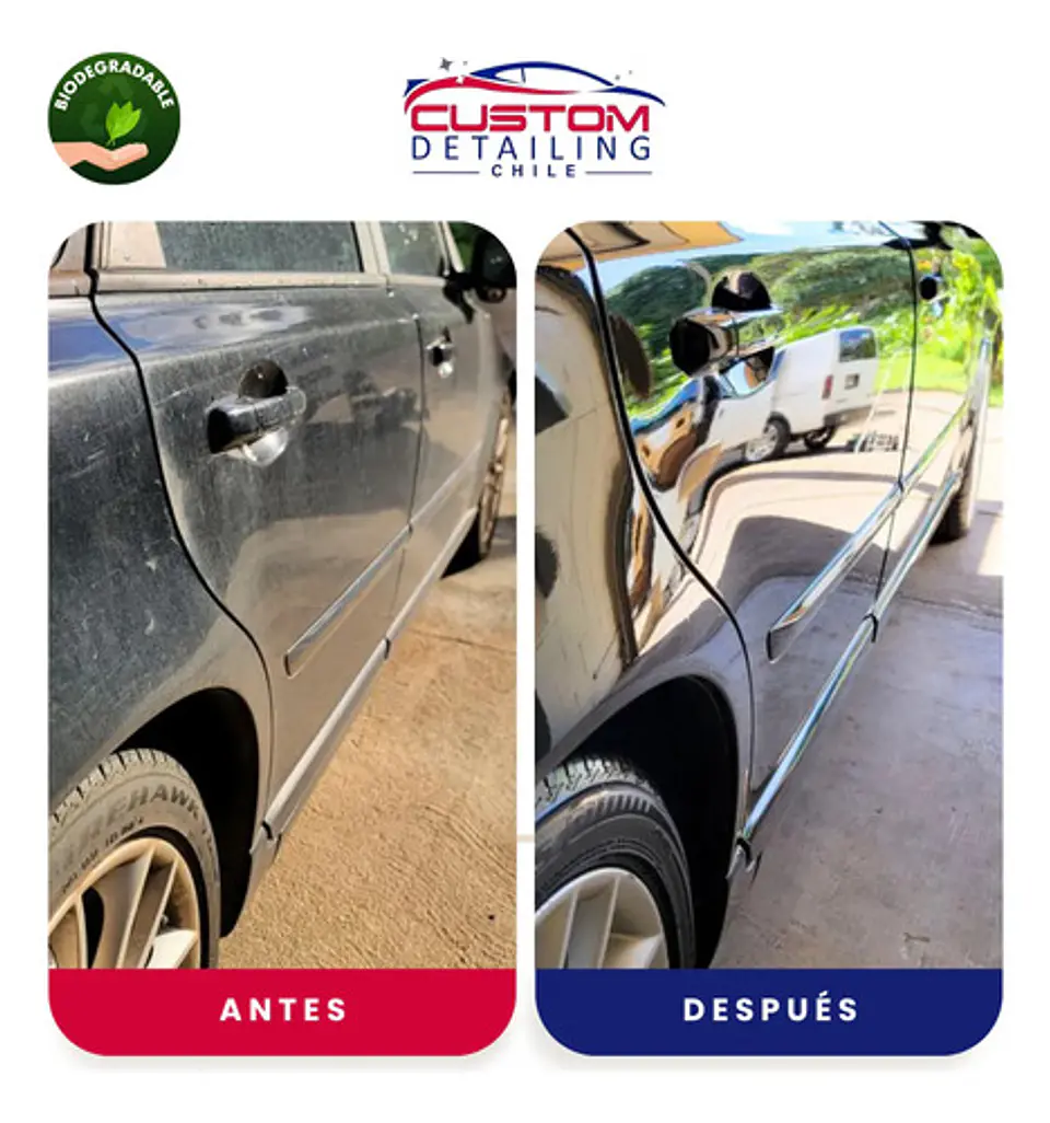 Shampoo De Lavado Para Autos Pro De 5 Litros - Espuma Activa 4