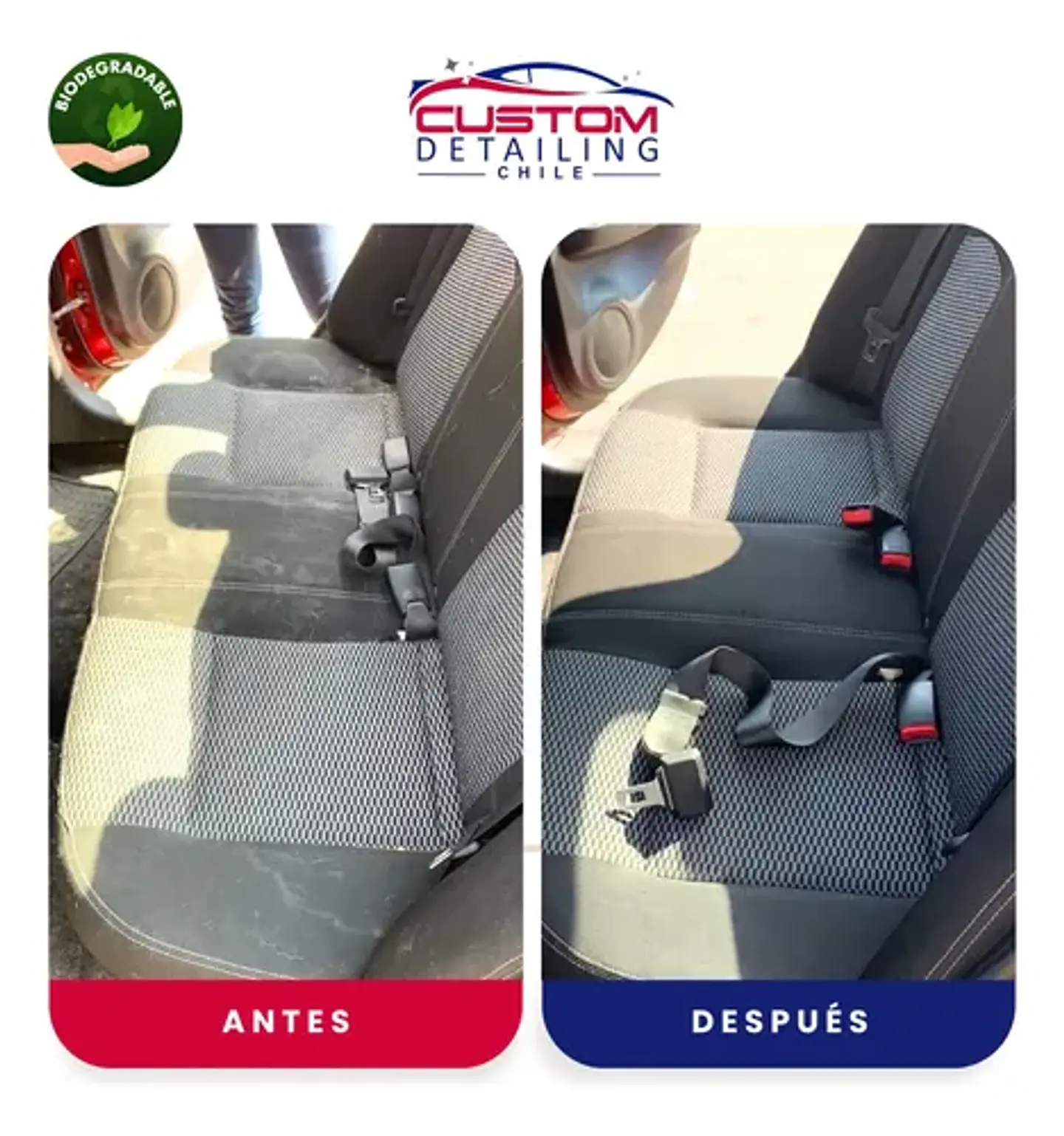 Shampoo Limpia Tapiz & Alfombras Bidón De 5 Litros. 3