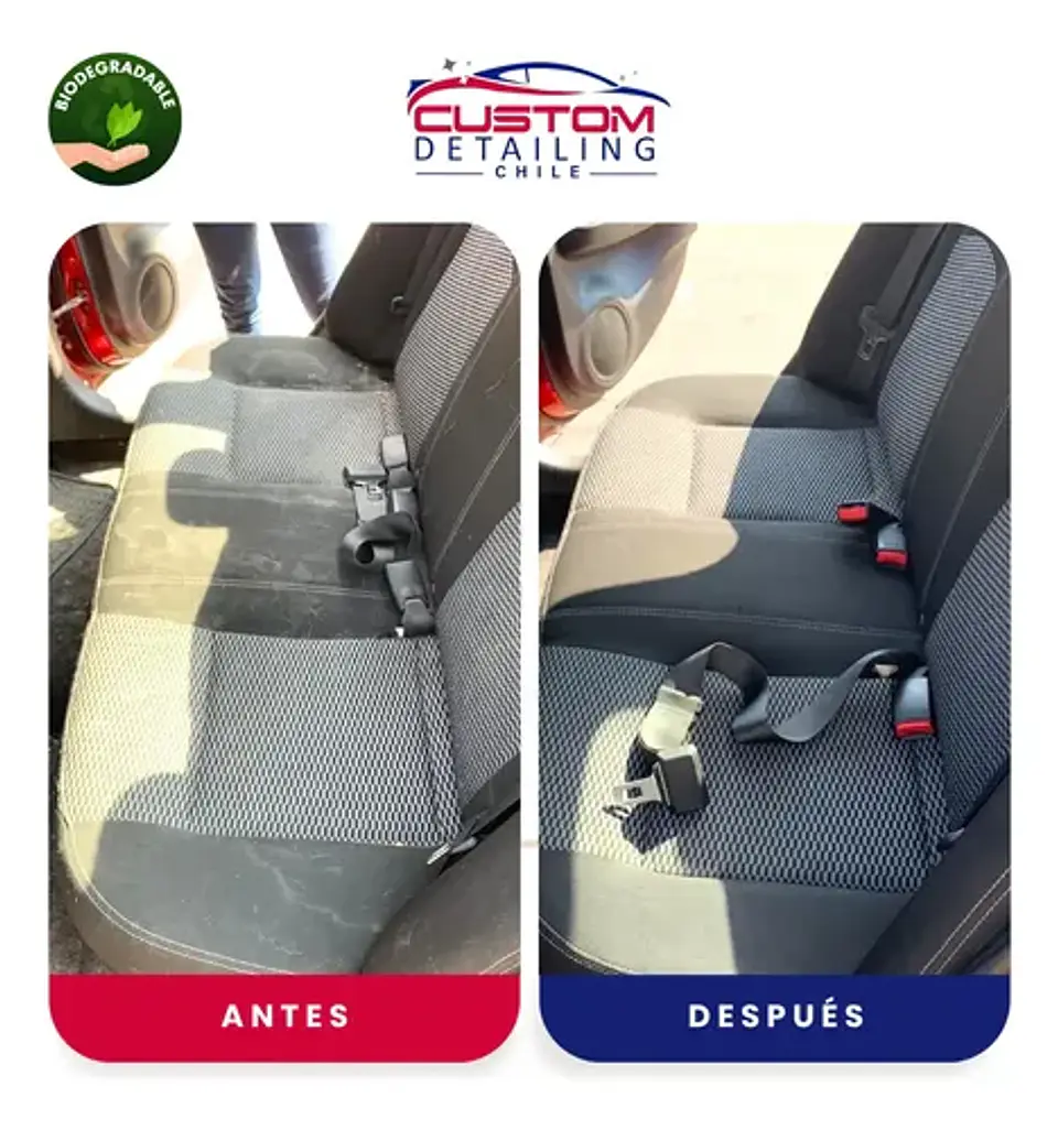 Shampoo Limpia Tapiz & Alfombras Bidón De 5 Litros. 3