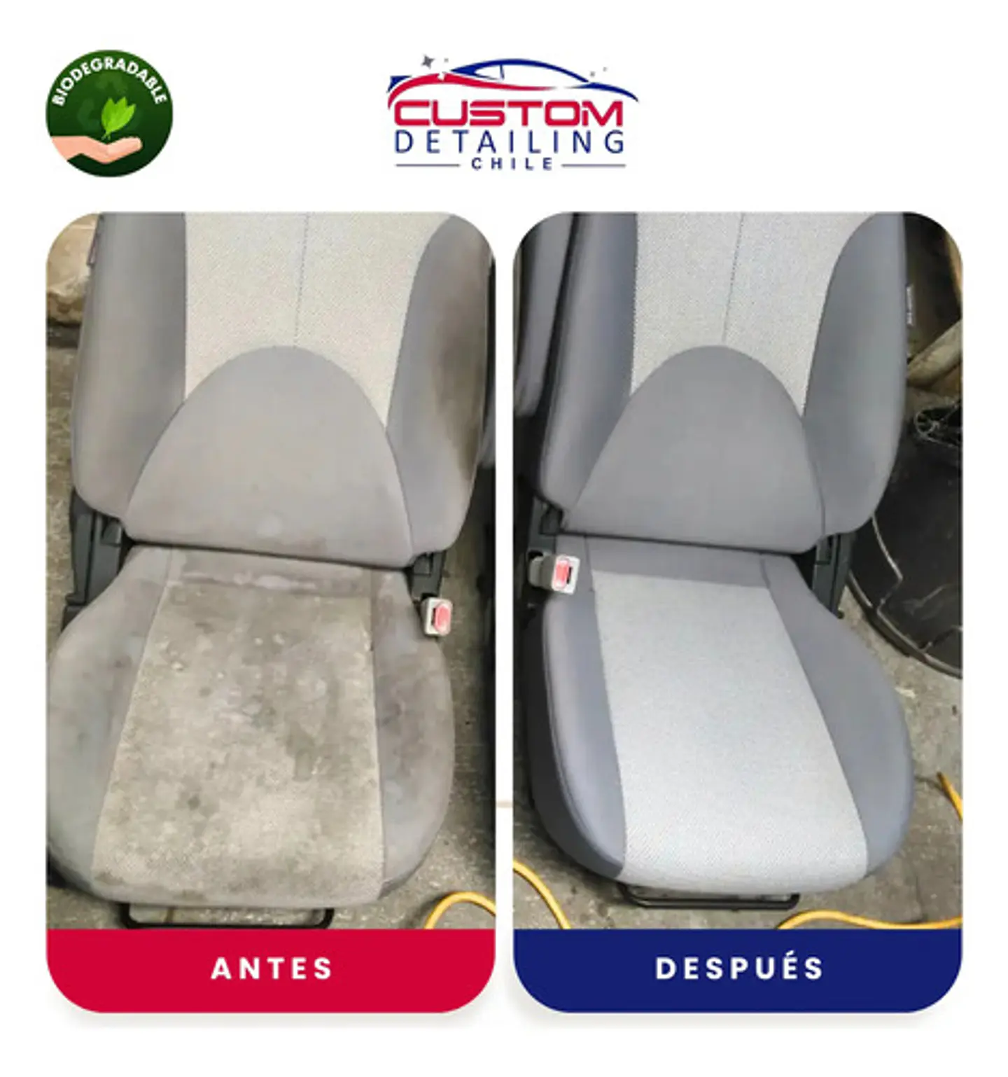 Shampoo Limpia Tapiz & Alfombras Bidón De 5 Litros. 7
