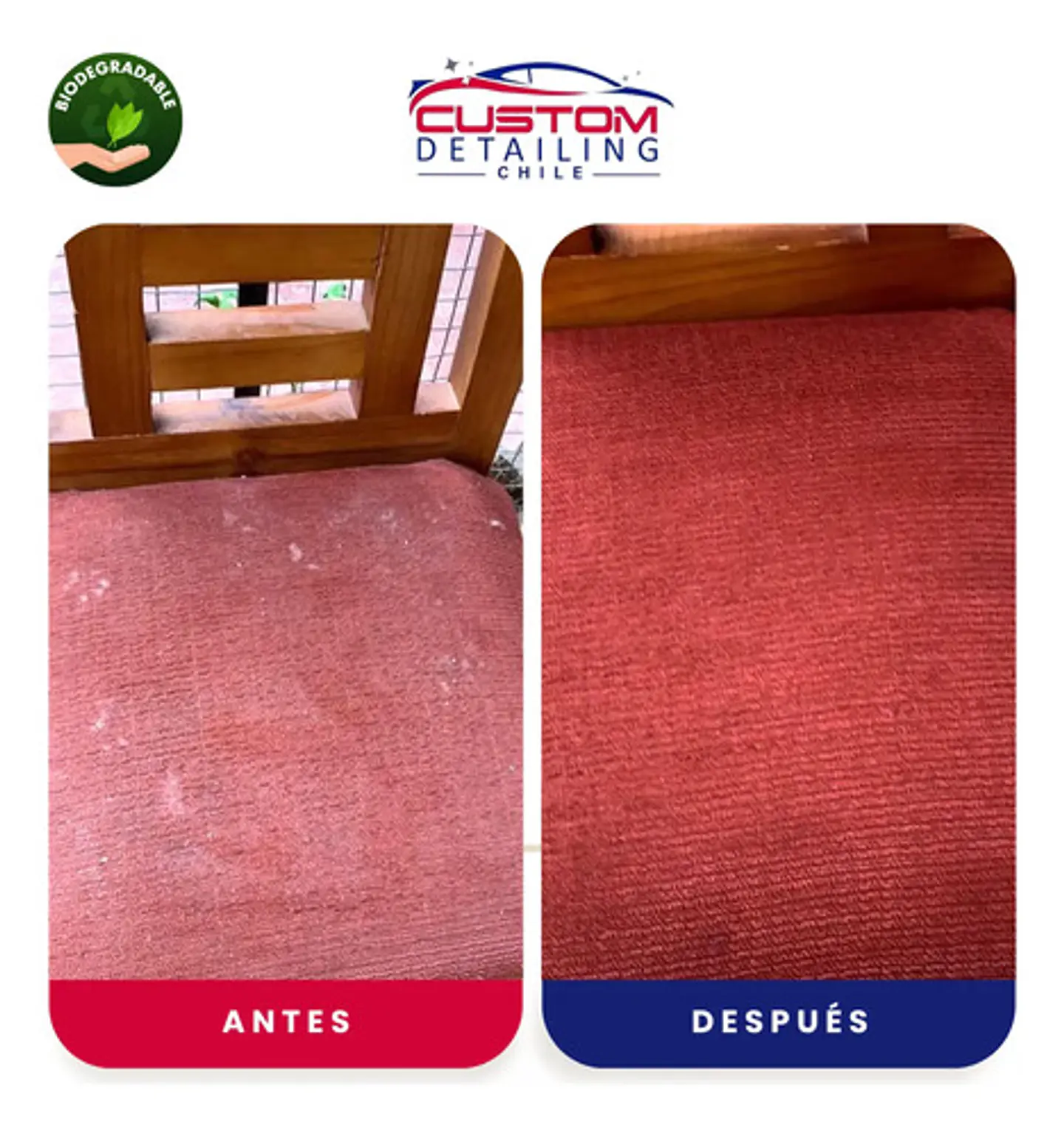 Shampoo Limpia Tapiz & Alfombras Bidón De 5 Litros. 8