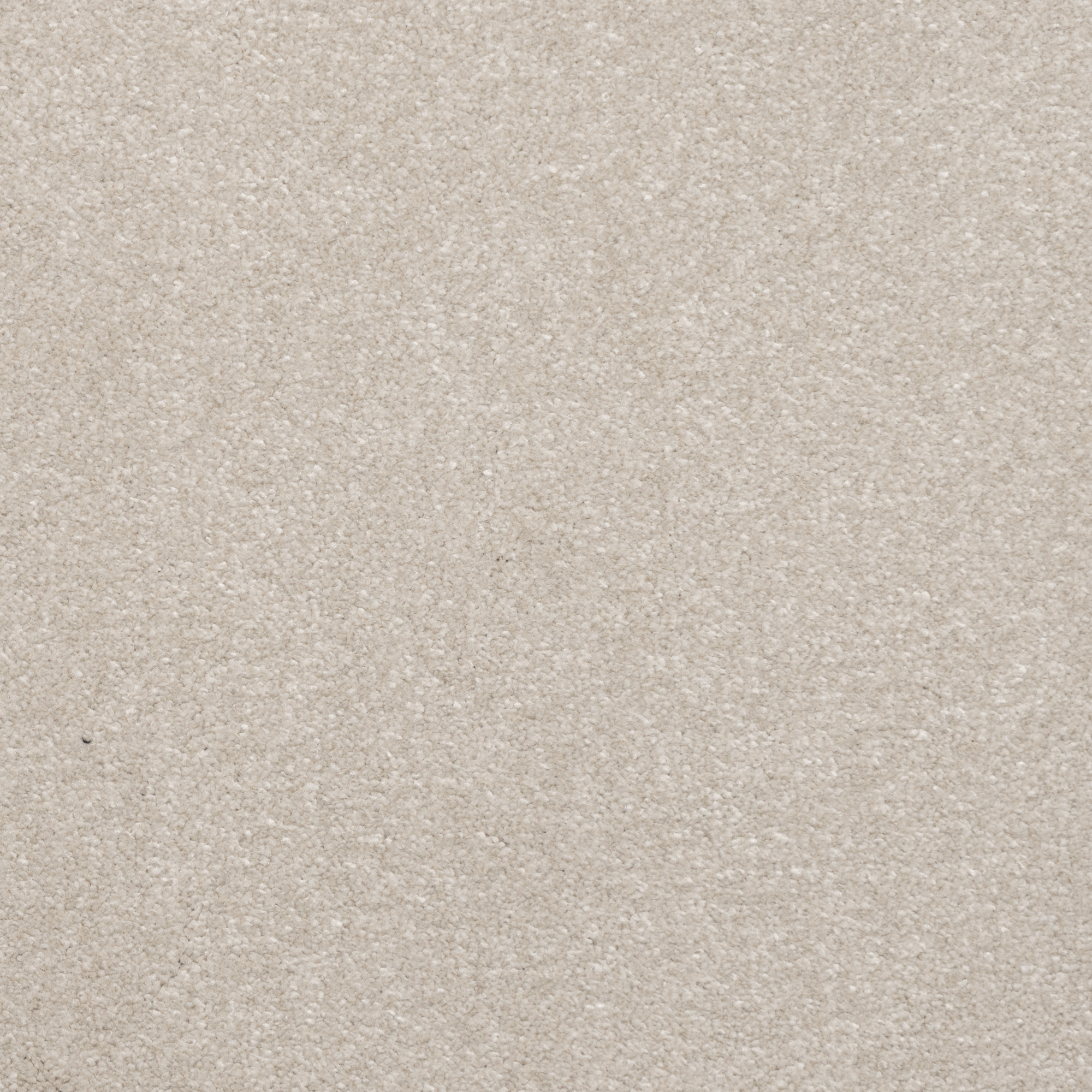 Belgrado Cut Cut — vista 7