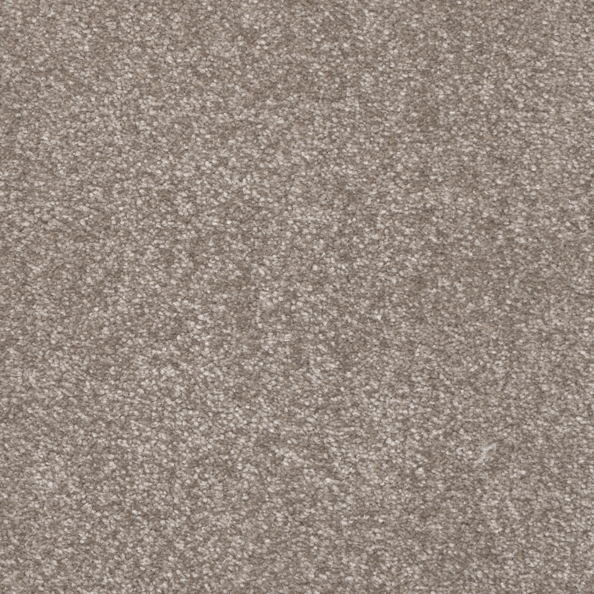 Belgrado Cut Cut — vista 8