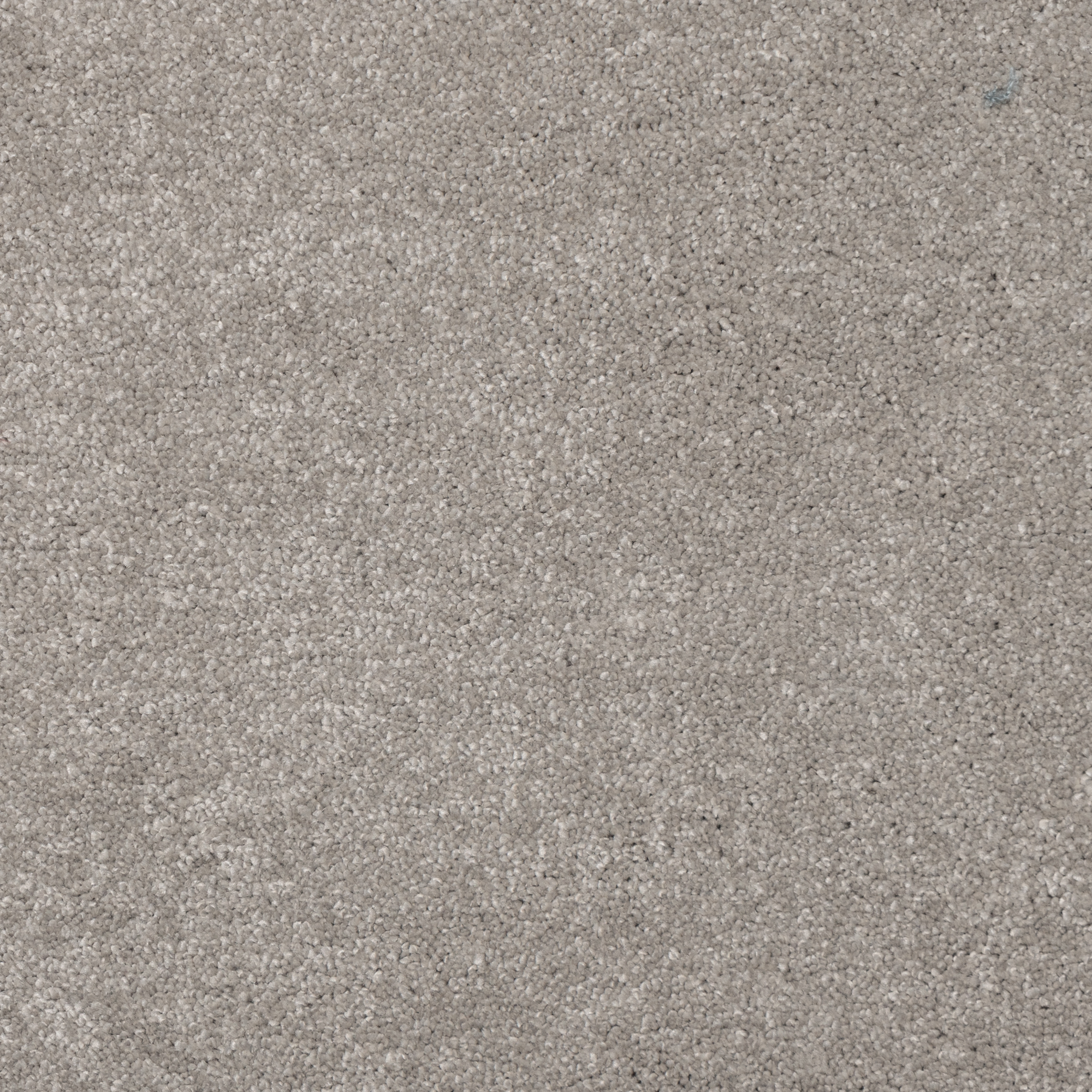 Belgrado Cut Cut — vista 13