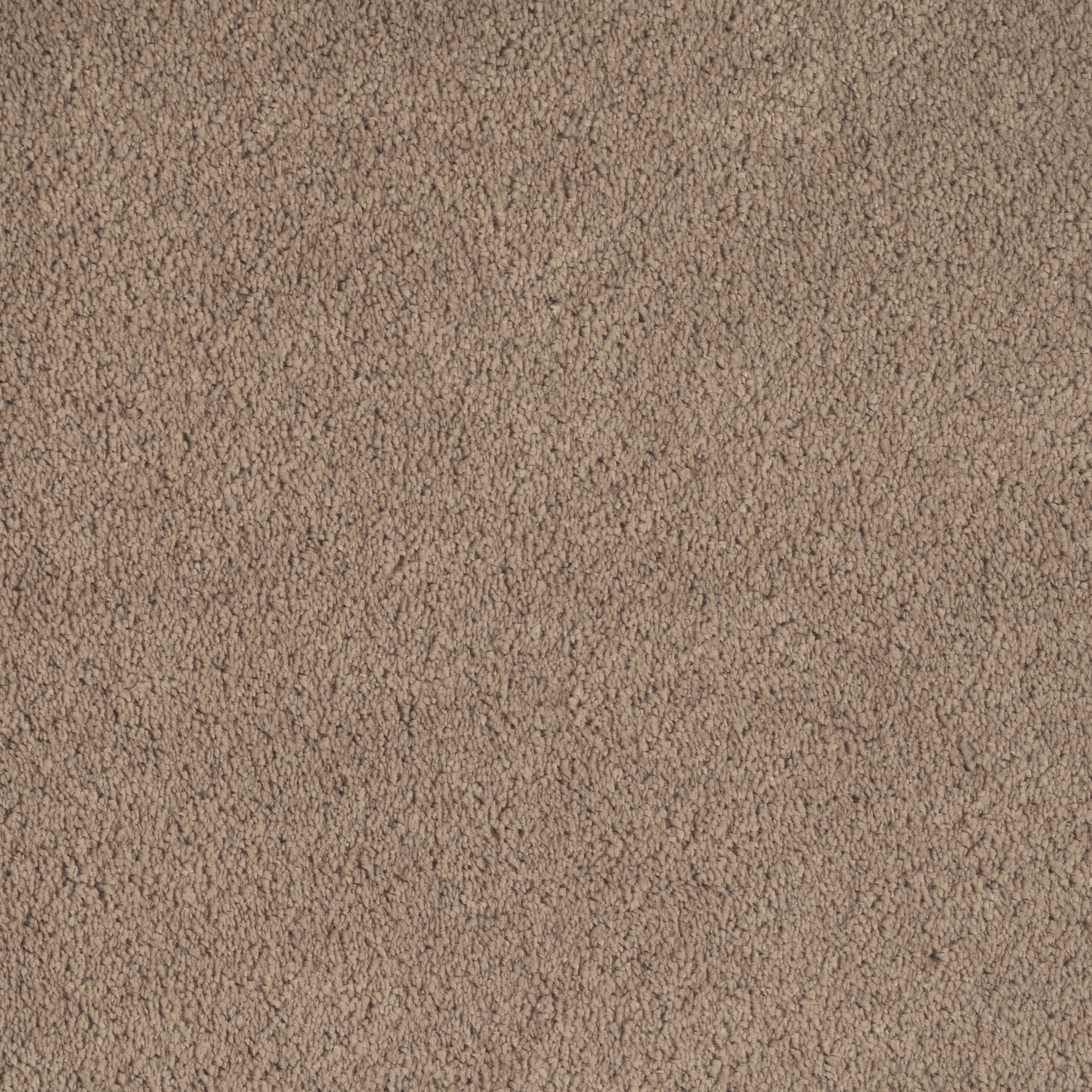 Kiev Cut Cut — vista 4