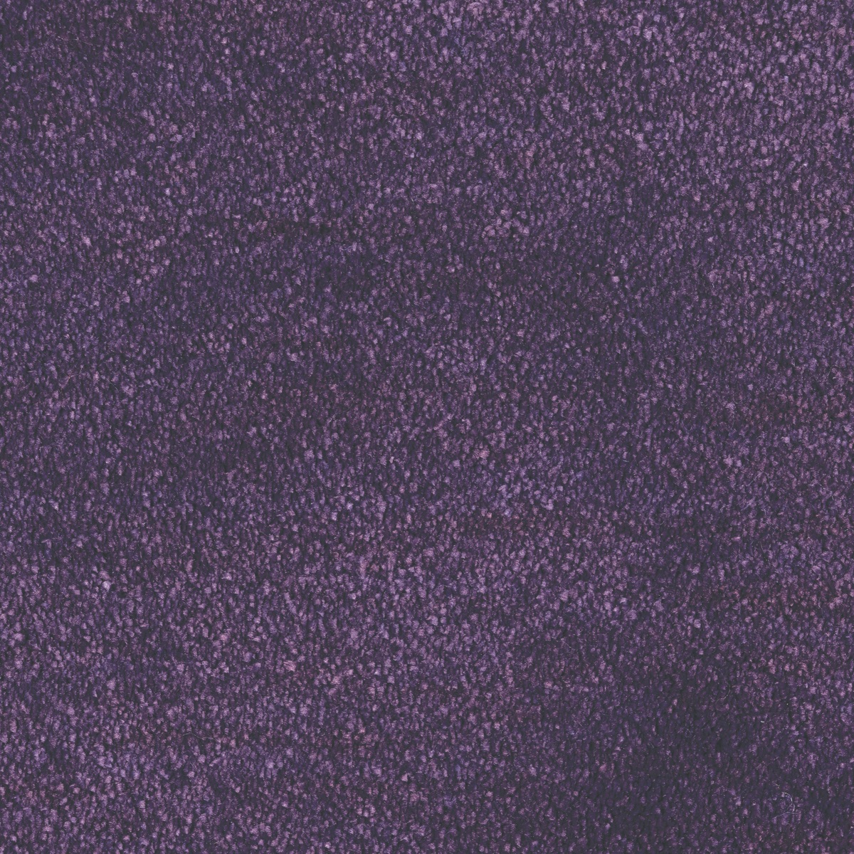 Kiev Cut Cut — vista 16