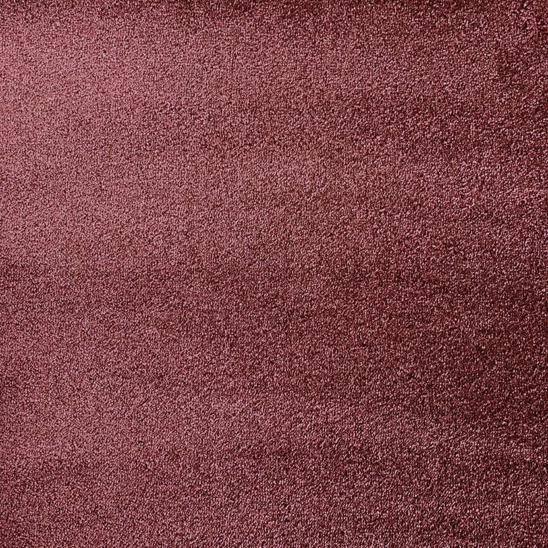 Riga Cut Cut — vista 2