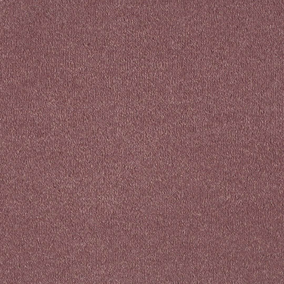 Vitoria Cut Cut — vista 15