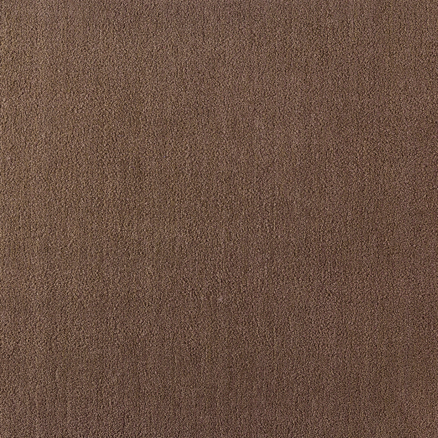 Sophia Cut Cut — vista 9