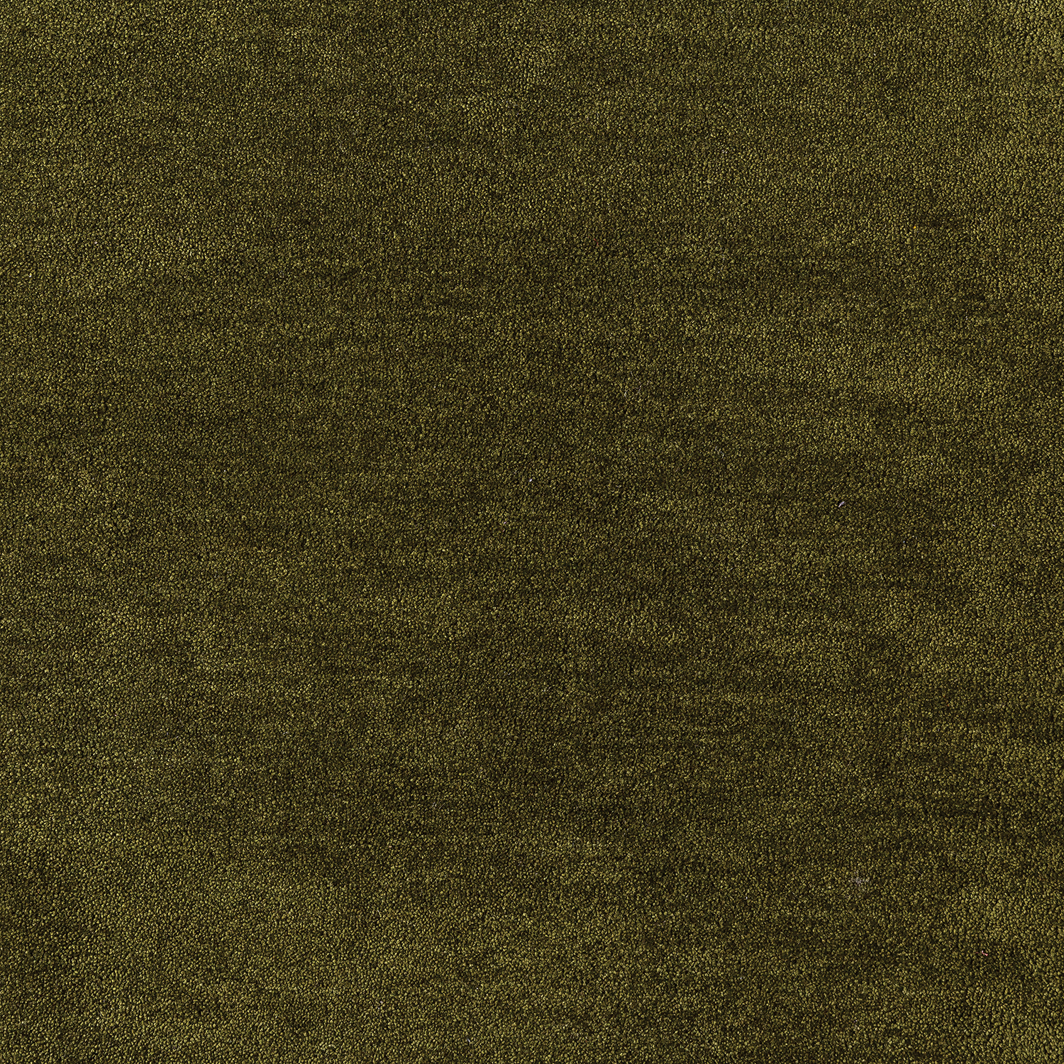 Sophia Cut Cut — vista 11