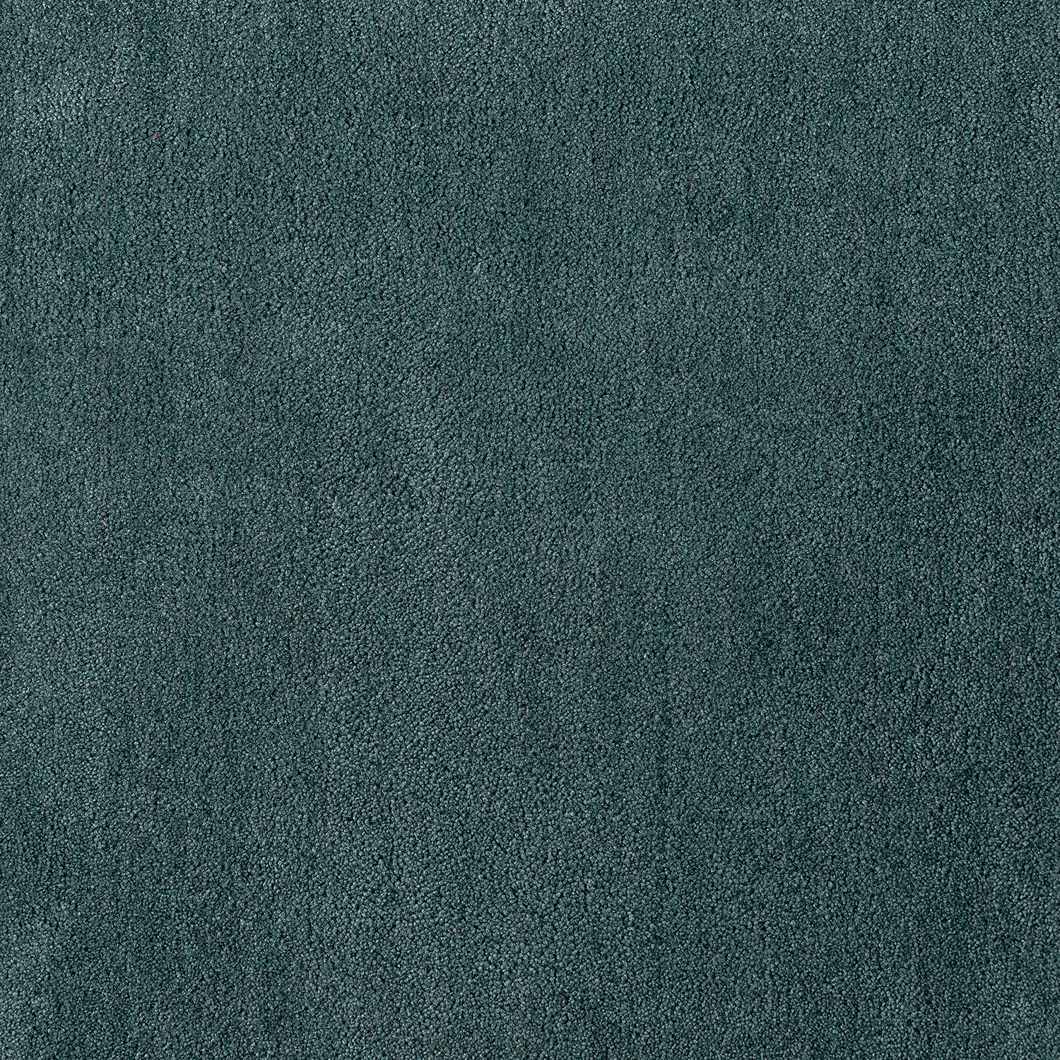 Sophia Cut Cut — vista 12
