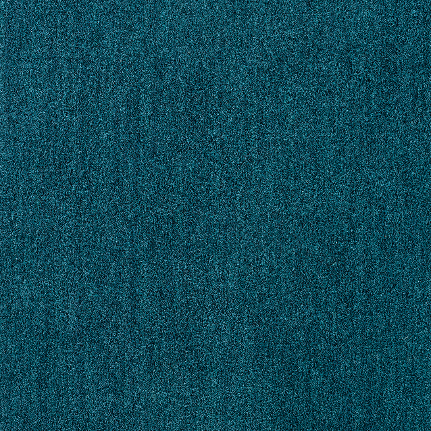 Sophia Cut Cut — vista 13