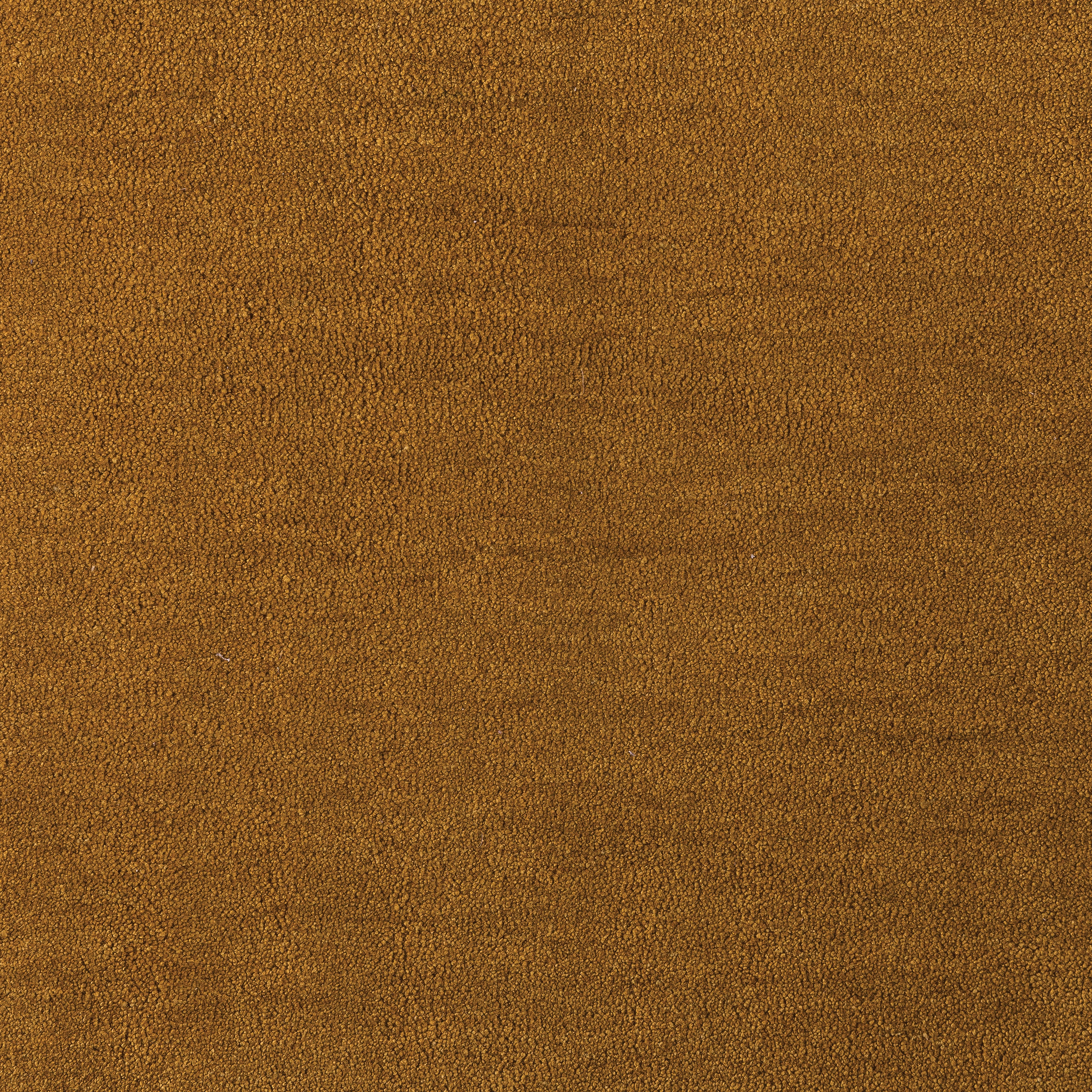 Sophia Cut Cut — vista 14