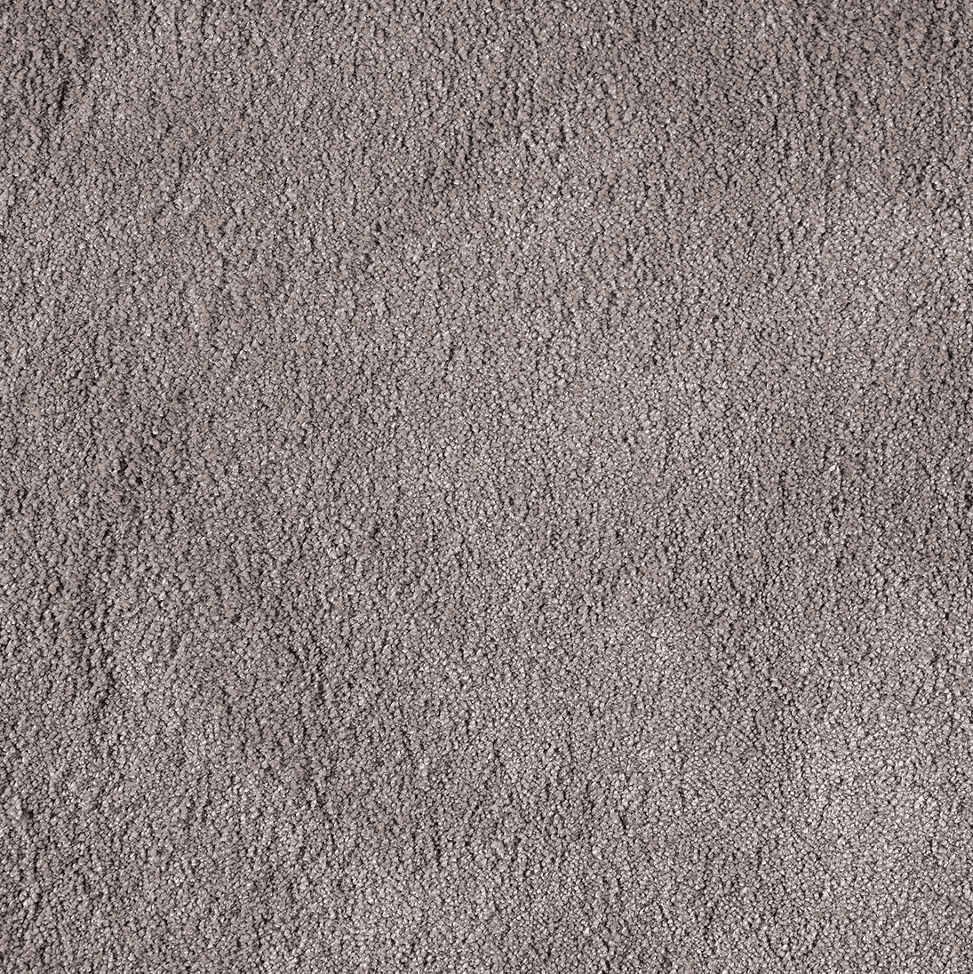 Roma Cut Cut — vista 2